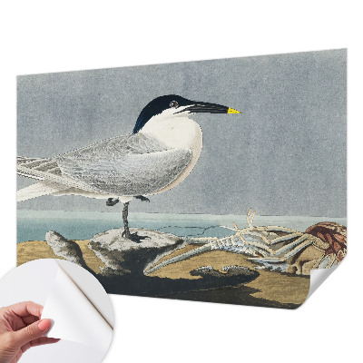 Fototapet barn med ett elegant ornitologiskt motiv