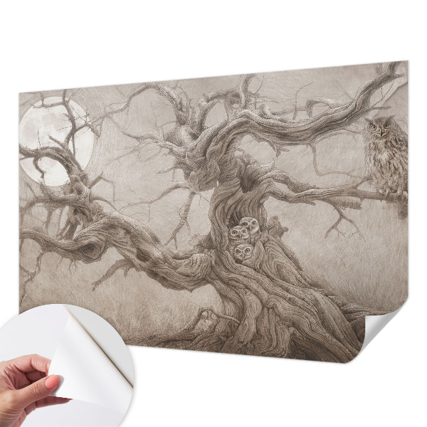 3D fototapet Nattfåglar