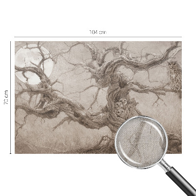 3D fototapet Nattfåglar