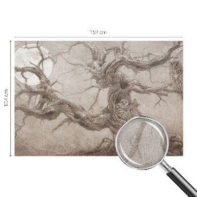 3D fototapet Nattfåglar