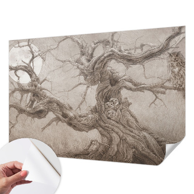 3D fototapet Nattfåglar