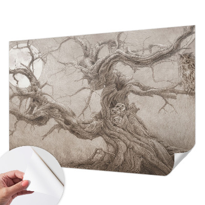 3D fototapet med motiv av nattfåglar