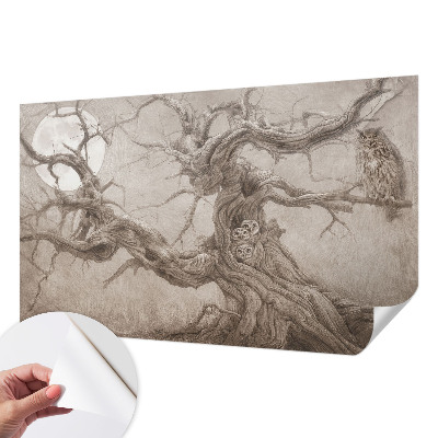 3D fototapet med motiv av nattfåglar