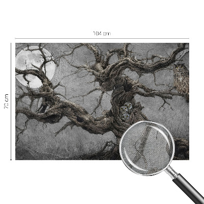 3D fototapet Mystisk uggla