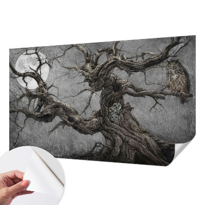 3D fototapet Mystisk uggla