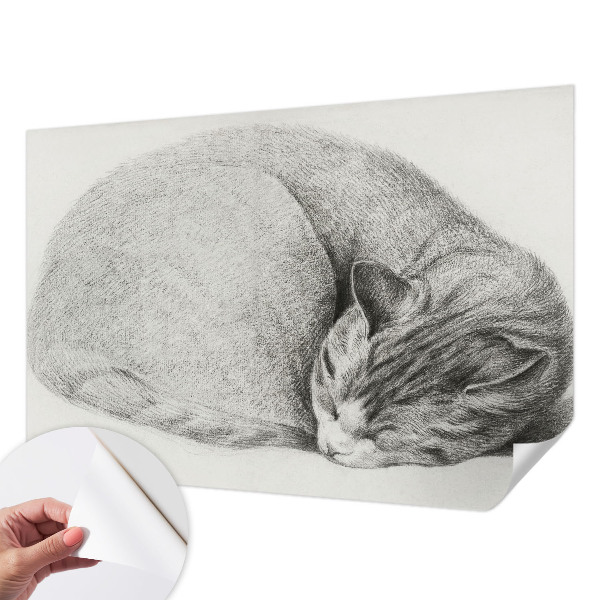 Fototapet för barn med motiv av en kurad katt