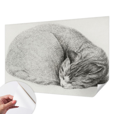 Fototapet för barn med motiv av en kurad katt