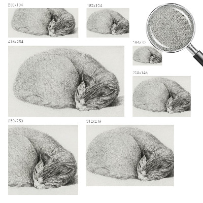 Fototapet för barn med motiv av en kurad katt
