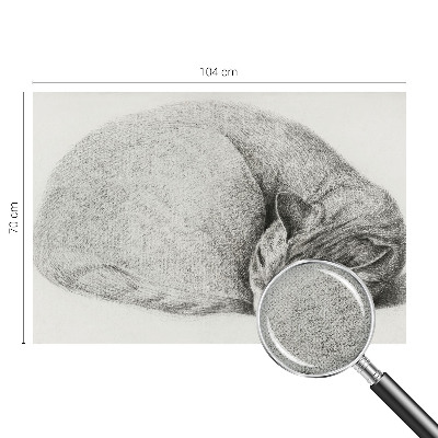 Fototapet för barn med motiv av en kurad katt