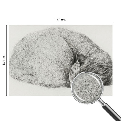 Fototapet för barn Kurad katt