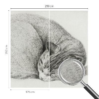 Fototapet för barn med motiv av en kurad katt