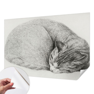Fototapet för barn med motiv av en kurad katt