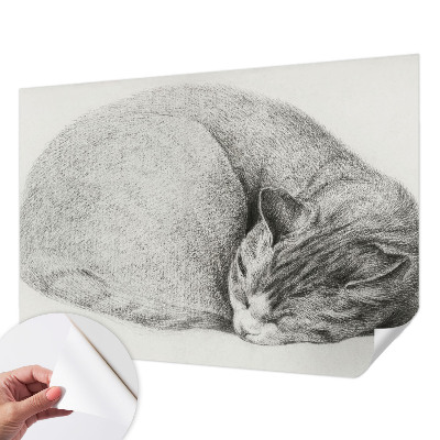 Fototapet för barn med motiv av en kurad katt
