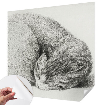 Fototapet för barn med motiv av en kurad katt