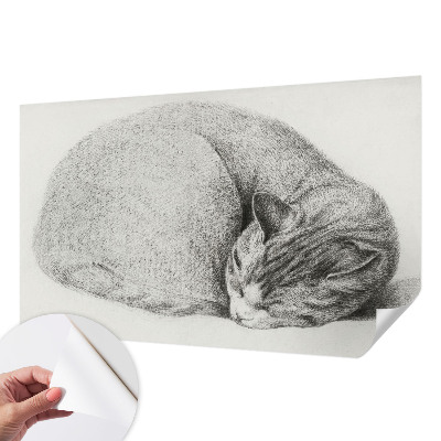 Fototapet för barn med motiv av en kurad katt