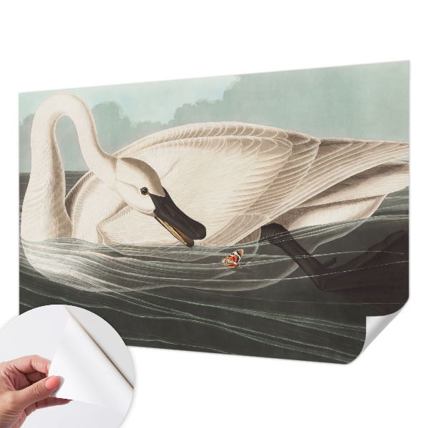 Fototapet barn Naturens harmoni