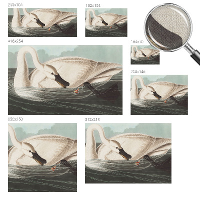 Fototapet barn Naturens harmoni