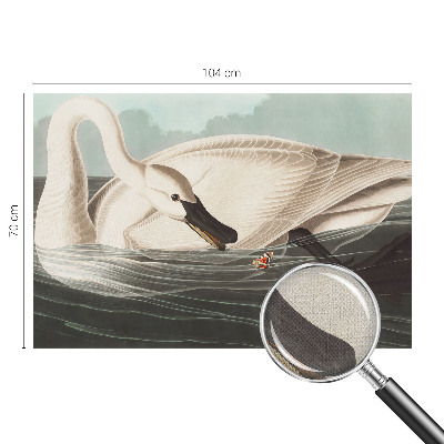 Fototapet barn Naturens harmoni