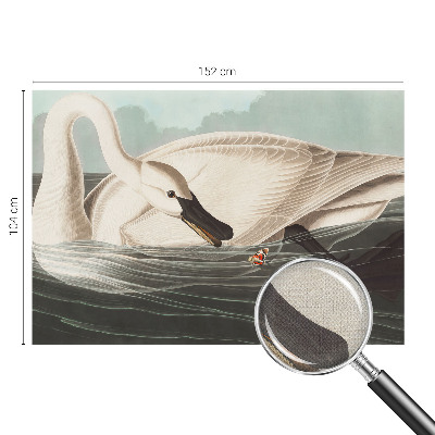 Fototapet barn Naturens harmoni