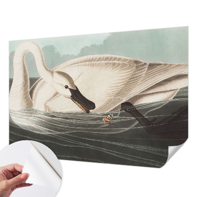 Fototapet barn Naturens harmoni