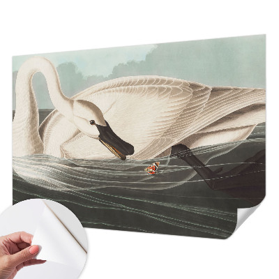 Fototapet barn Naturens harmoni