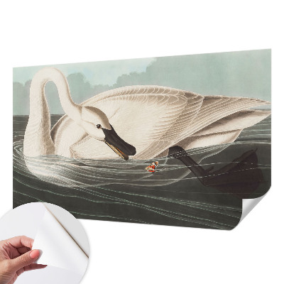 Fototapet barn Naturens harmoni