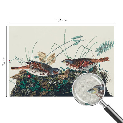 Fototapet barnrum Naturens charm