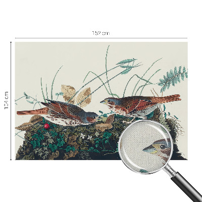 Fototapet barnrum Naturens charm