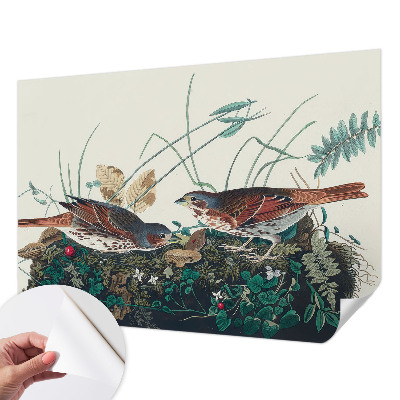 Fototapet barnrum Naturens charm