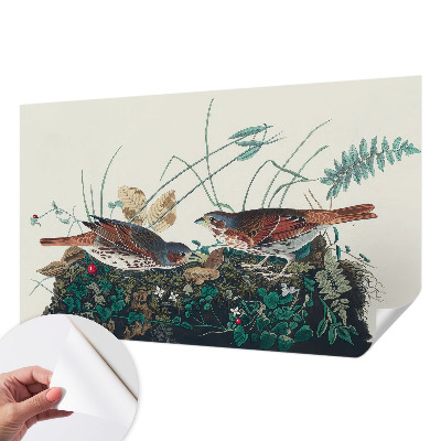 Fototapet barnrum Naturens charm