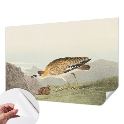 Fototapet för barn Bergsfågel