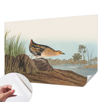 Självhäftande fototapet Naturlig scen