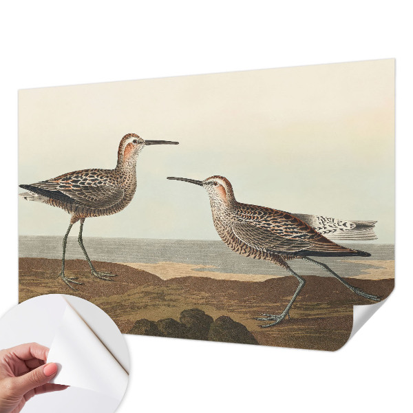 Fototapet barnrum Fågelsilhuetter