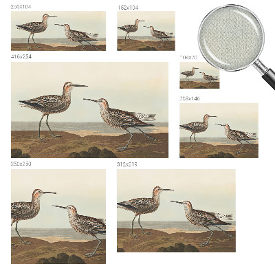 Fototapet barnrum Fågelsilhuetter