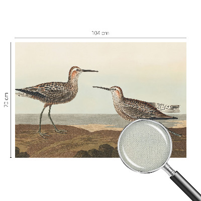 Fototapet barnrum Fågelsilhuetter