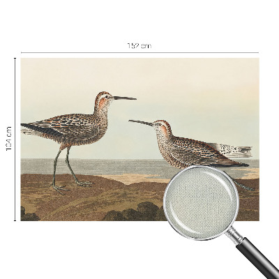 Fototapet barnrum Fågelsilhuetter