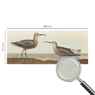 Fototapet barnrum Fågelsilhuetter