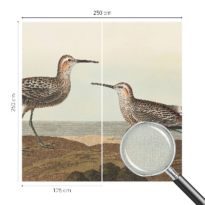 Fototapet barnrum Fågelsilhuetter