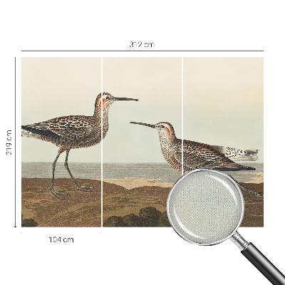 Fototapet barnrum Fågelsilhuetter