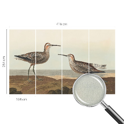 Fototapet barnrum Fågelsilhuetter