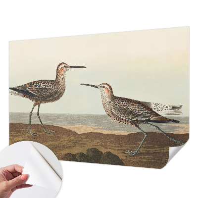 Fototapet barnrum Fågelsilhuetter