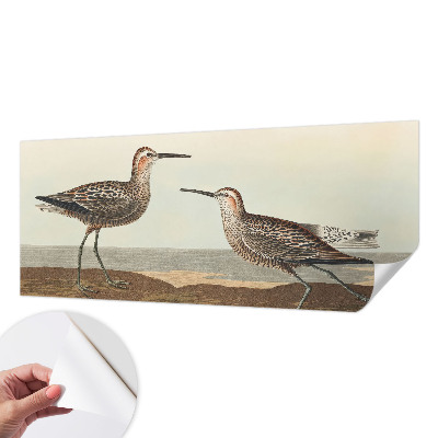 Fototapet barnrum Fågelsilhuetter