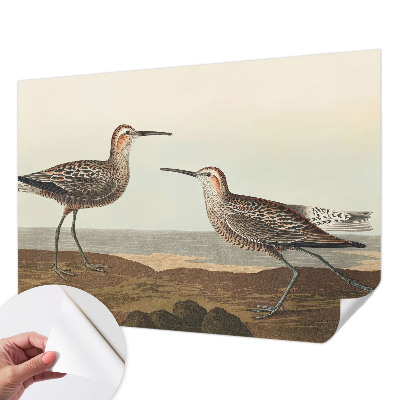 Fototapet barnrum Fågelsilhuetter