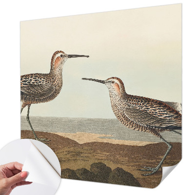 Fototapet barnrum Fågelsilhuetter