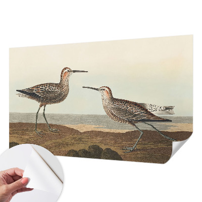 Fototapet barnrum Fågelsilhuetter