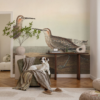 Fototapet barnrum Fågelsilhuetter