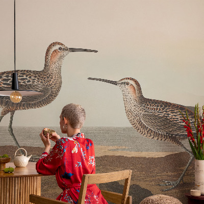 Fototapet barnrum Fågelsilhuetter