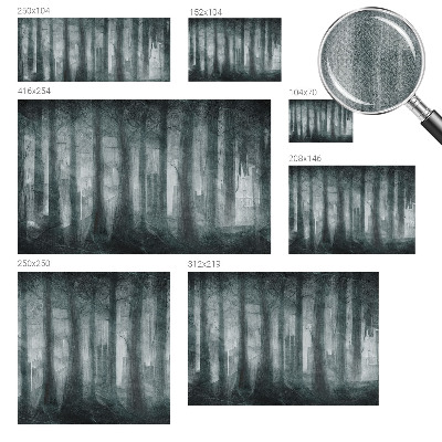 Fototapet barnrum Mystisk skog