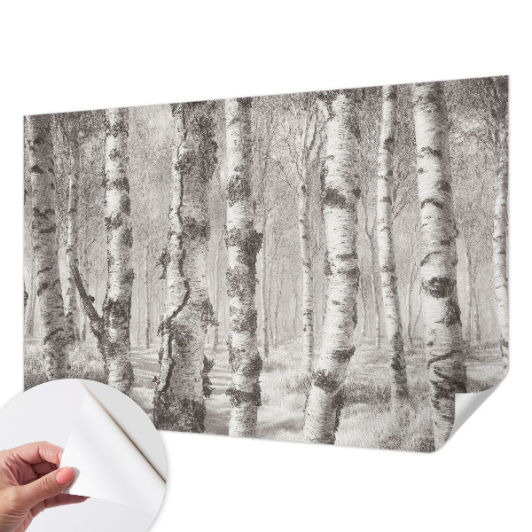 3D fototapet med motiv av en björkskog