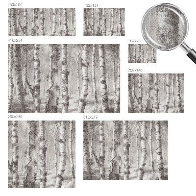 3D fototapet Björkskog